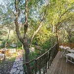 Villa Regina -hidden Eden With Treehouse & Heated Pool *