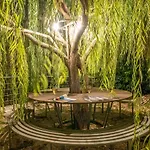 Villa Regina -hidden Eden With Treehouse & Heated Pool *