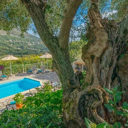 Villa Regina -Hidden Eden With Treehouse & Heated Pool Agia Efimia