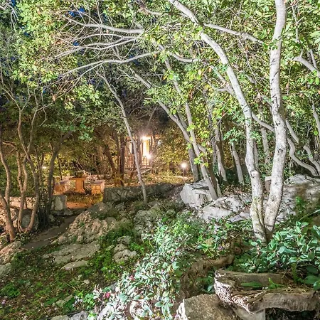 Regina -hidden Eden With Treehouse & Heated Pool Vila *
