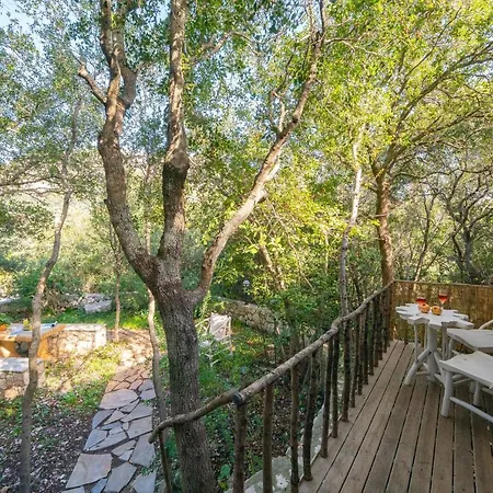 Βίλα Regina -hidden Eden With Treehouse & Heated Pool *